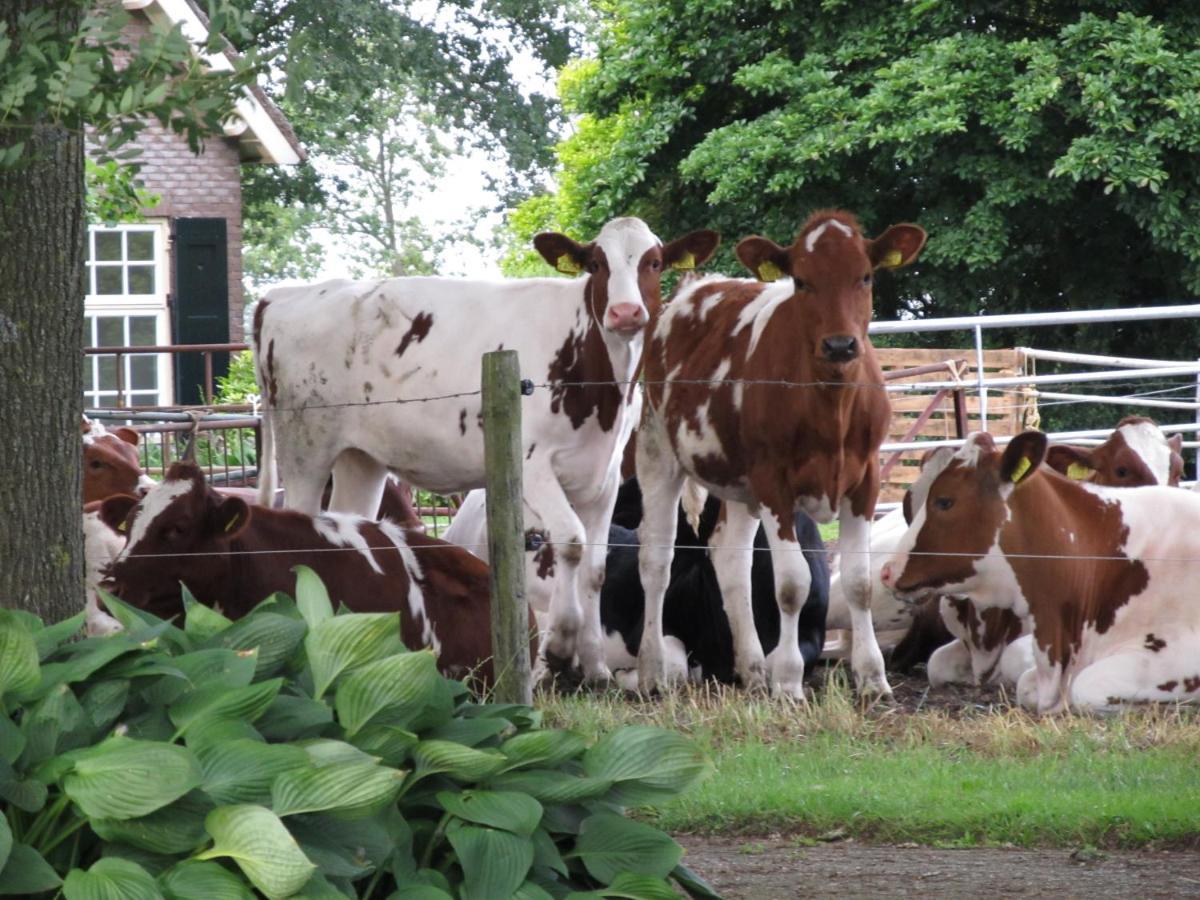 Апартаменты Boerderij De Aarnink Heeten Экстерьер фото